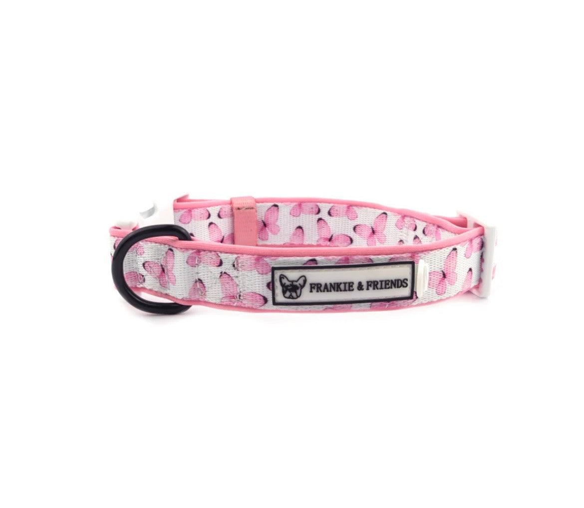 Butterfly Kisses - Dog Collar Sale