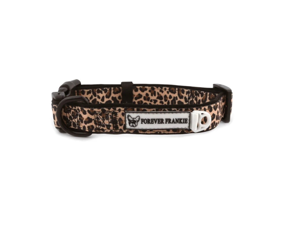 Born to be Wild - Dog Collars