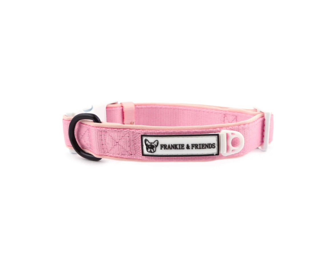 Baby Pink - Dog Collar Sale