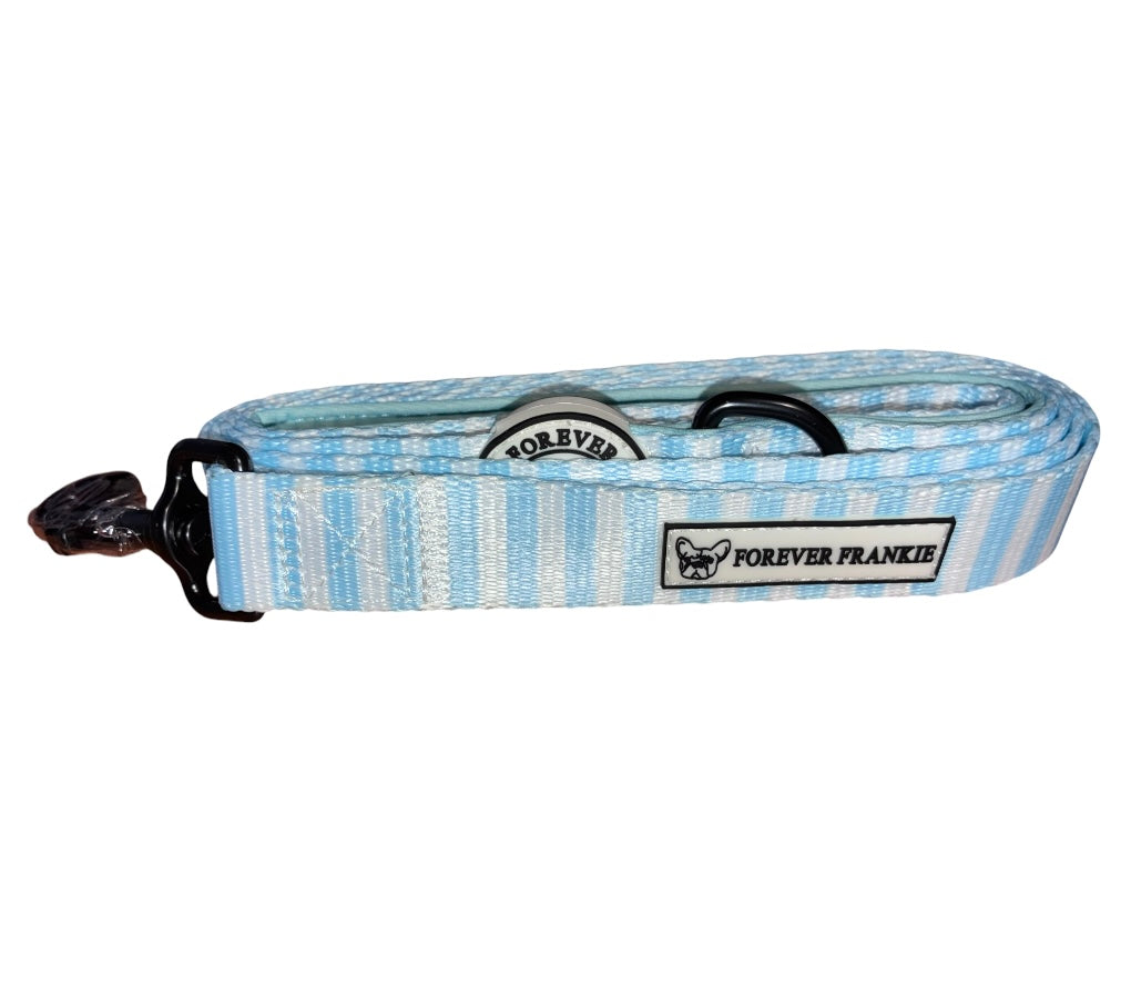 Blue Candy Stripe - Dog Leads