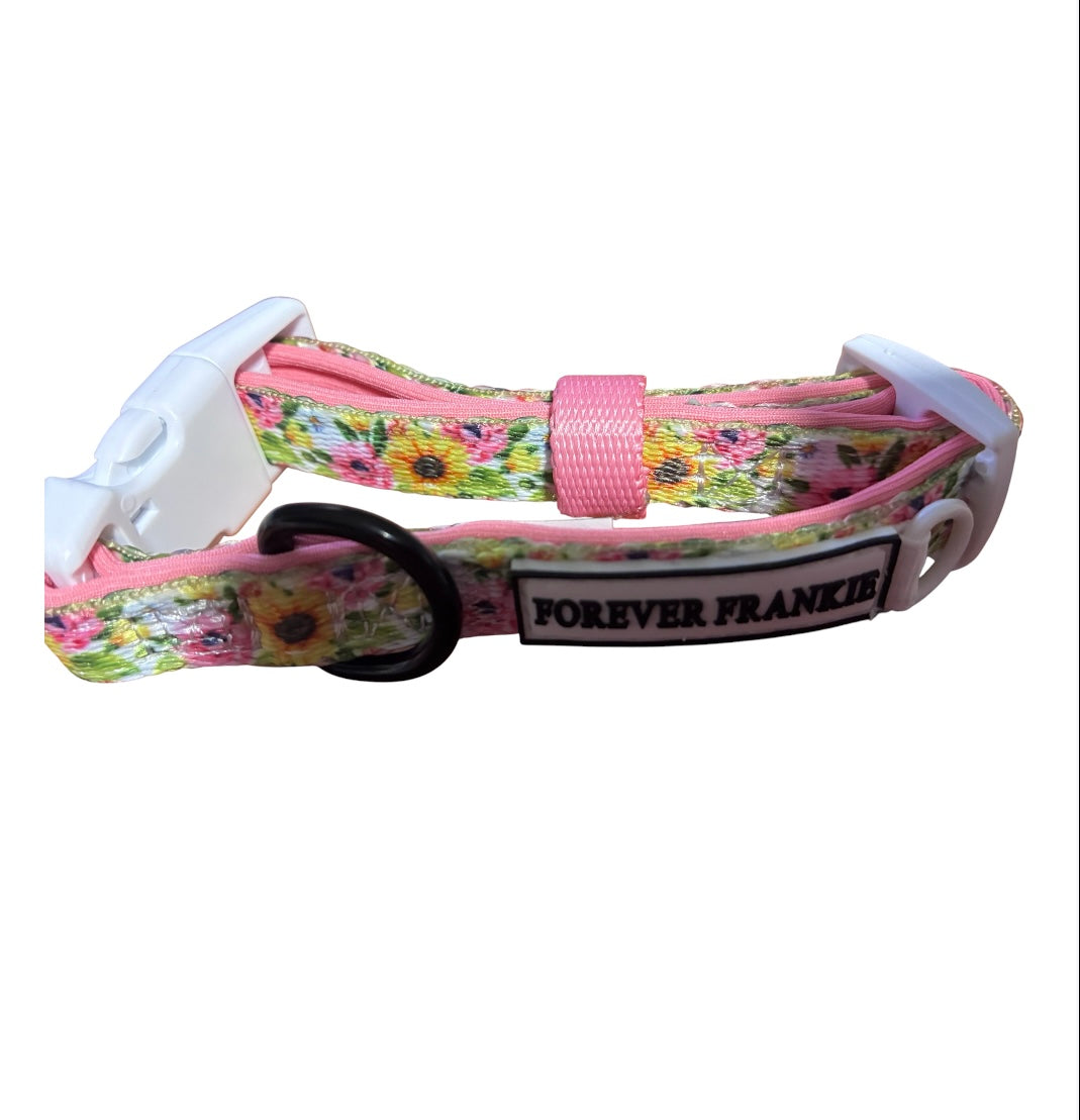 Heavenly Sunflower - Dog Collar Sale