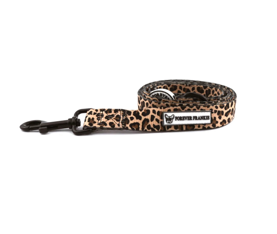 Born to be Wild - Dog Leads