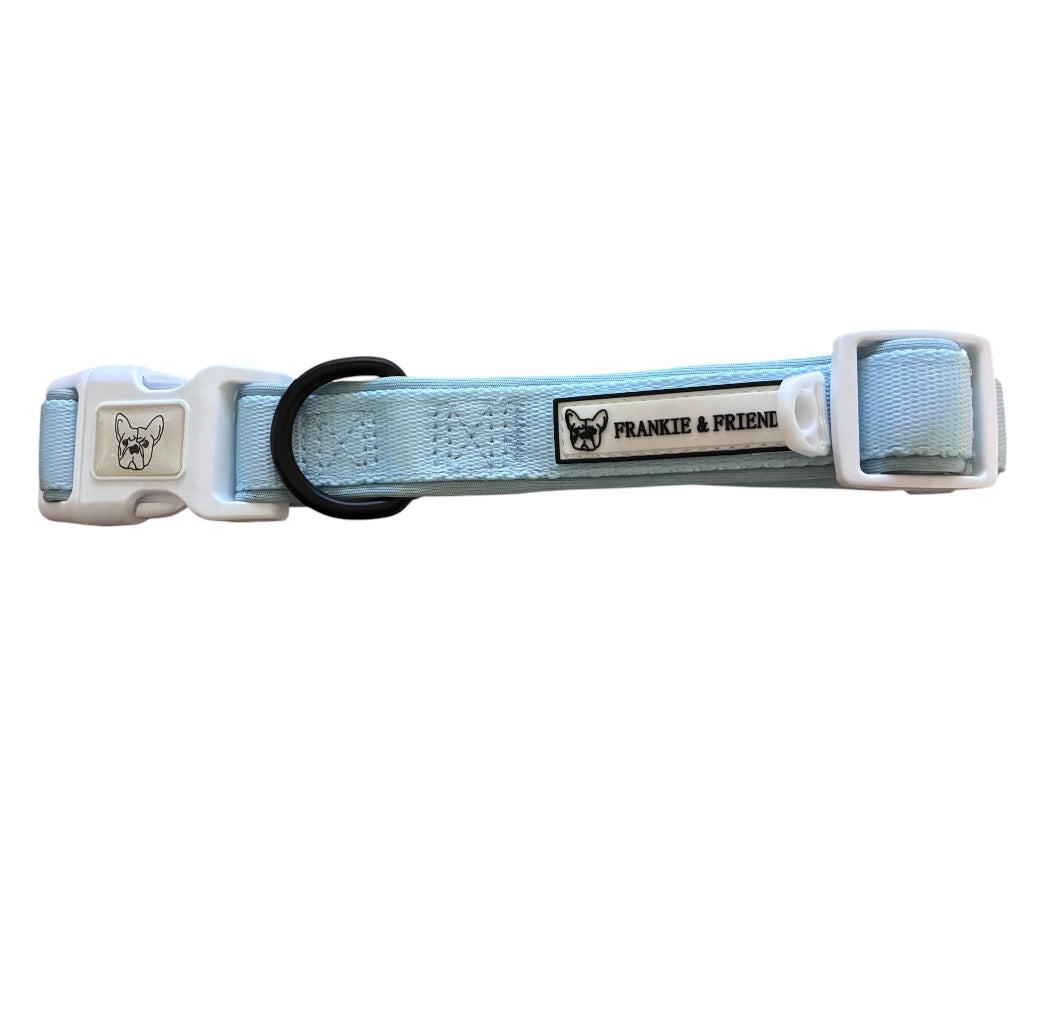 Baby Blue - Dog Collar Sale