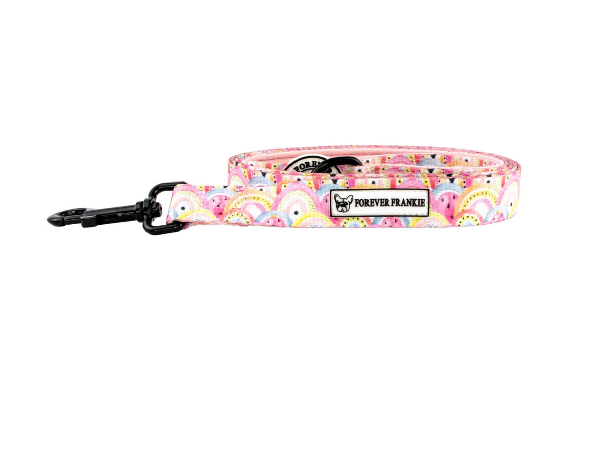 Chasing Rainbows - Dog Leads