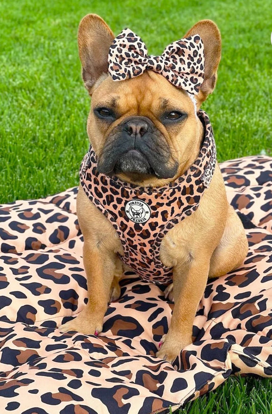 Born To Be Wild - Bow Tie