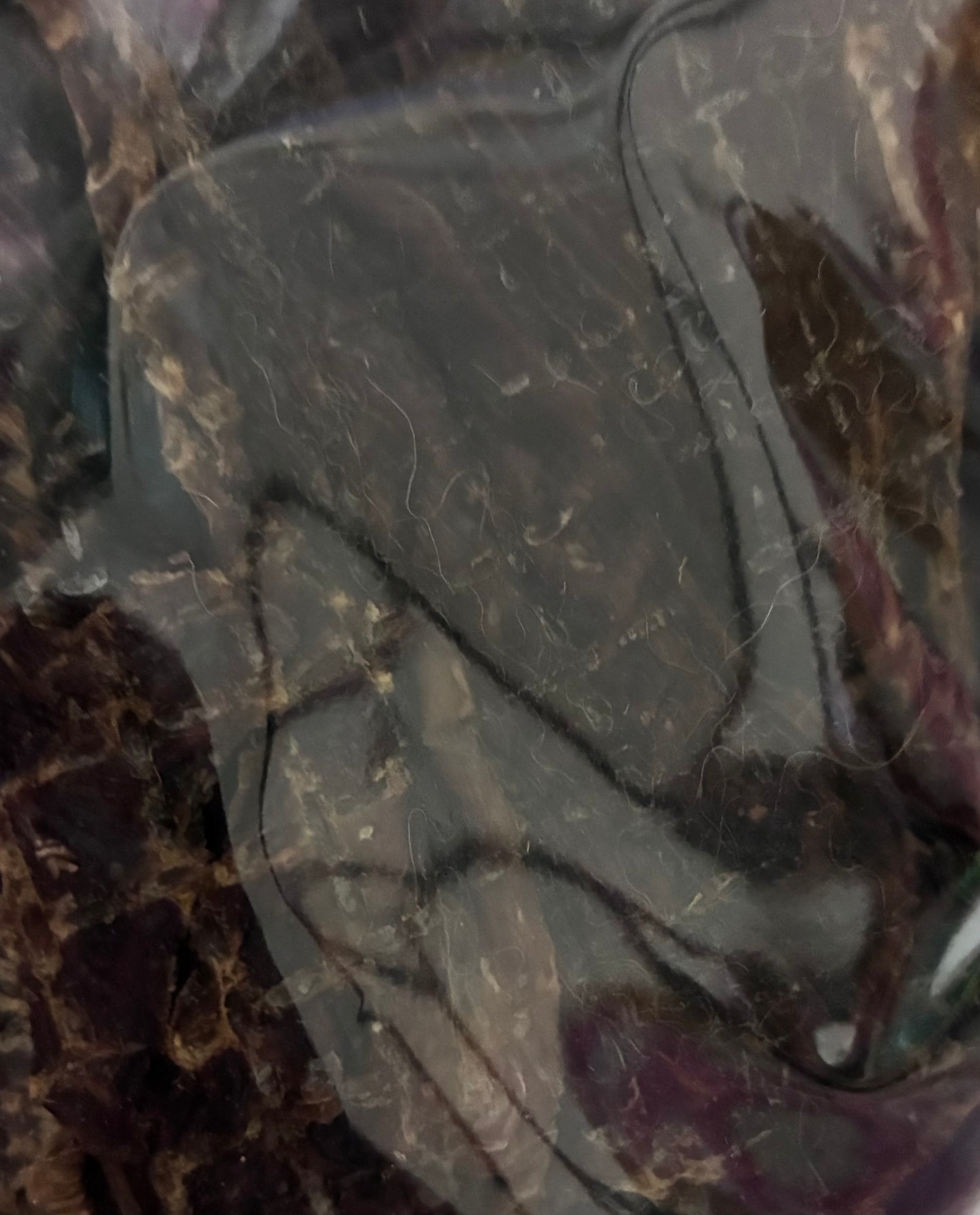 Kangaroo Flap (80g)