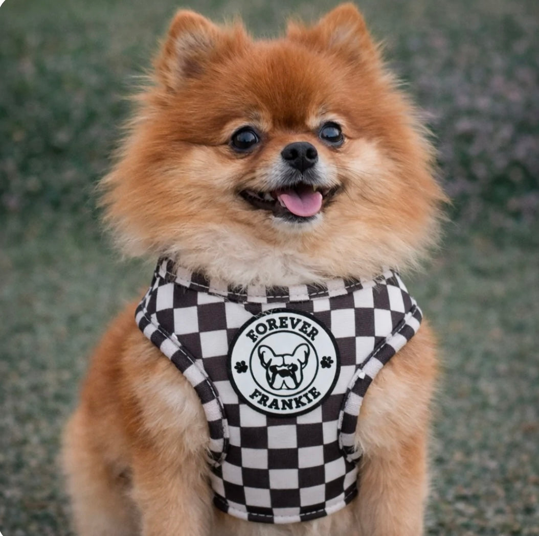 Cocoa Check - Step-In Harness