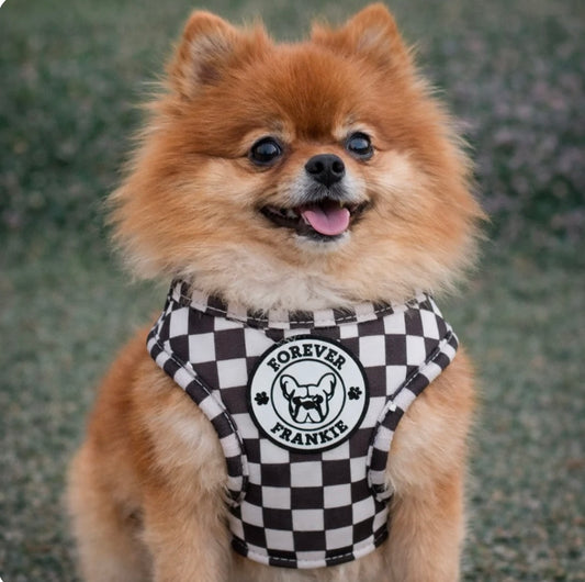 Cocoa Check - Step-In Harness
