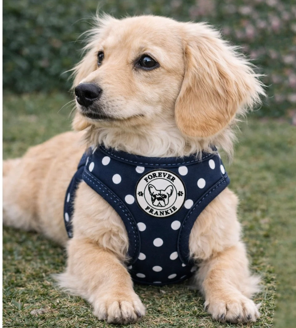 Navy Polka Dot - Step-In Harness