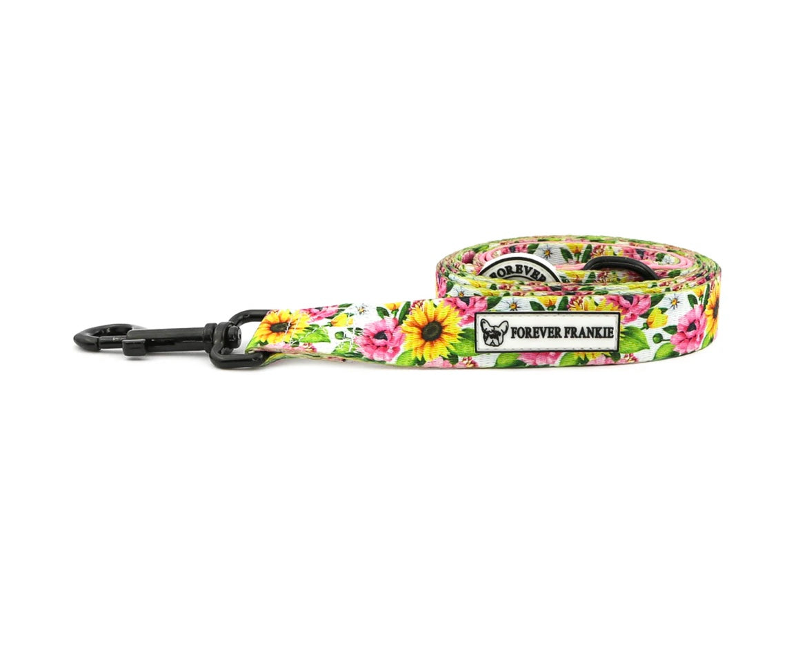 Heavenly Sunflower - Dog Leads
