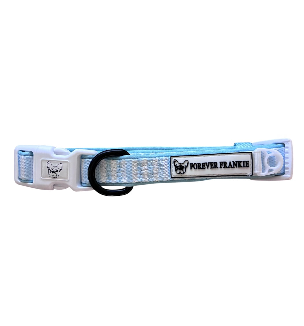 Blue Candy Stripe - Dog Collar Sale